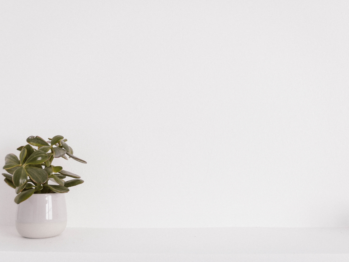 How To Use Whitespace Effectively In Website Design