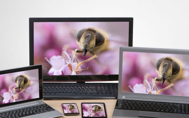 High-Quality Images in Website Design