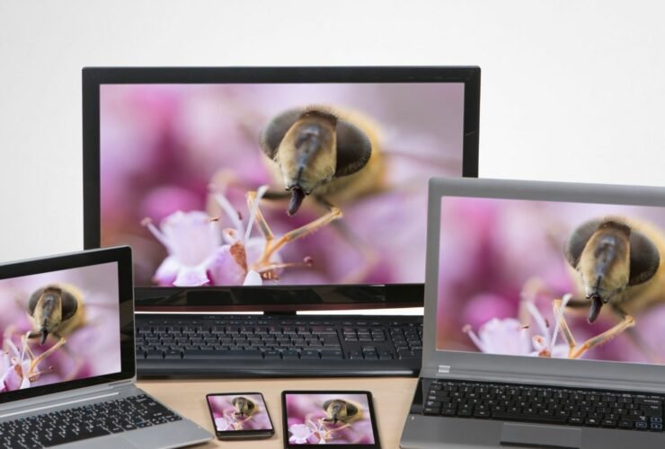 High-Quality Images in Website Design